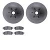 6502-99519 Brake Rotors w/5000 Advanced Brake Pads Kit, 2004-2008 Ford/Lincoln/Mercury/Mazda, Position: Front - image 1