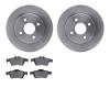 6502-99795 Brake Rotors w/5000 Advanced Brake Pads Kit, Fits Select Ford/Lincoln/Mercury/Mazda, Position: Rear - image 1
