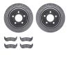7202-56001 Drilled/Slotted Rotors w/Heavy-Duty Brake Pads Kit [Silver], 2003-2011 Ford/Lincoln/Mercury/Mazda, Position: Rear - image 1