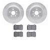 7502-47217 Drilled/Slotted Brake Rotors w/5000 Advanced Brake Pads Kit [Silver], Fits Select GM, Position: Rear - image 1