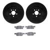8302-55010 Drilled/Slotted Brake Rotors with 3000-Series Ceramic Brake Pads Kit [Black], 2015-2020 Ford/Lincoln/Mercury/Mazda, P - image 1