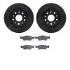 8502-40019 Drilled/Slotted Brake Rotors w/5000 Advanced Brake Pads Kit [Black], 2002-2006 Multiple Makes/Models, Position: Rear - image 1
