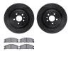 8502-54209 Drilled/Slotted Brake Rotors w/5000 Advanced Brake Pads Kit [Black], 2013-2019 Ford/Lincoln/Mercury/Mazda, Position:  - image 1