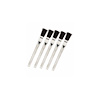 10111 Acid Brushes, Set of 5