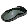 13724ZP 3:1 Single-Stage Auto Car Paint, 96 oz., Jaded Green Metallic - image 1