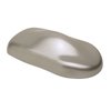 Silver Lining Metallic Powder Coating Powder - 25 lb 1411725LBS - image 1
