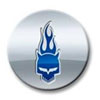 Center Cap - image 1