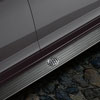 Molded Assist Steps 2008-12 Buick Enclave - image 1