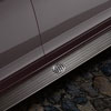 Molded Assist Steps 2008-12 Buick Enclave - image 1