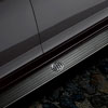 Molded Assist Steps 2008-12 Buick Enclave - image 1