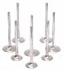 Extreme Duty Racing Valves Small Block Chevy - image 1