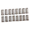Ovate Beehive Valve Springs Performance LS1 - image 1