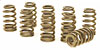 Ovate Beehive Valve Springs Universal - High Performance - image 1