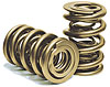 1200 Series Dual Drag Race Valve Springs Outer Outside Diameter: 1.625" - image 1