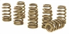 Ovate Beehive Valve Springs High Performance LS1 - image 1