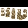 Ovate Beehive Valve Springs Ford 4.6L 2-Valve - image 1