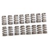 Ovate Beehive Valve Springs Performance LS1 - image 1