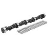 Performer-Plus Camshaft Kit for Small Block 400 - image 2