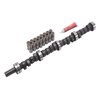 Performer-Plus Camshaft Kit for AMC 290-401 - image 2