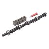 Performer-Plus Camshaft Kit for AMC 290-401 - image 3