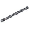 Rollin' Thunder Hydraulic Roller Camshaft for Small Block Ford 289-302 - image 2