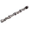 Rollin' Thunder Hydraulic Roller Camshaft for 1996-Later Big Block Chevy 454-502 Gen VI - image 2