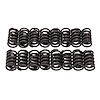 Sure Seat Replacement Valve Springs for Edelbrock Aluminum Heads - image 1