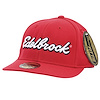Script Logo Red Flex Fit Hat in Large/X-Large Size - image 1