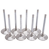 Intake Valve Set 2.19" for Big Block Ford Performer RPM Heads #350-60679, 350-60699, 350-61669, & 350-61649 - image 1