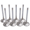 Exhaust Valves 1.76" for 350-60679/60699/61669/61649