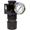 EW Regulator w/Gauge 1/2 NPT - image 1