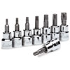 Torx Bit Socket Set 3/8" Drive - image 1