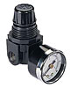 Mini Regulator Measures 0 to 60 PSI - image 1