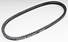 Alternator Belt 27.5-Inch - image 1
