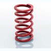0400.225.0450 ERS Coil-Over Main Spring Standard Universal - image 1