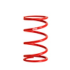 SINGLE SPRING - image 1