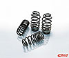 Pro-Kit Performance Lowering Springs Incl. Front/Rear Coil Springs - image 1