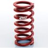 SPRING - image 1