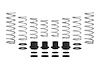 E85-209-012-05-22 PRO-UTV STAGE 2 SPRINGS - image 1