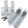 Pro-UTV Performance Springs 2018-Up RZR RS1 - image 1