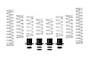 E85-209-019-02-22 Pro-UTV Performance Springs [Stage 2] Fits Late-Model Polaris RZR PRO XP Ultimate / Fox Dynamix - image 1