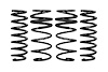 E10-201-004-01-22 LOWERING SPRINGS SET BLK