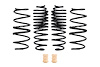E10-35-057-01-22 LOWERING SPRINGS MAVERICK - image 1