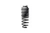 E10-35-057-01-22 LOWERING SPRINGS MAVERICK - image 3
