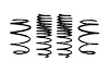 E10-40-043-02-22 LOWERING KIT HONDA CIVIC - image 1