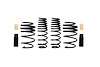 E10-42-047-04-22 PRO-KIT SPRINGS SET - image 1