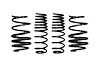 E10-42-059-01-22 PRO-KIT SPRINGS KONA N - image 1