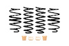 PRO-KIT LOWERING SPRINGS - image 1
