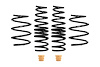 PRO-KIT LOWERING SPRINGS - image 1