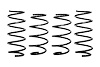 E10-51-018-03-22 PRO-KIT SPRINGS SET OF 4 - image 1